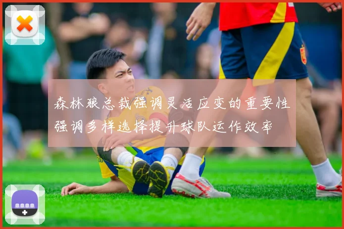 森林狼总裁强调灵活应变的重要性强调多样选择提升球队运作效率