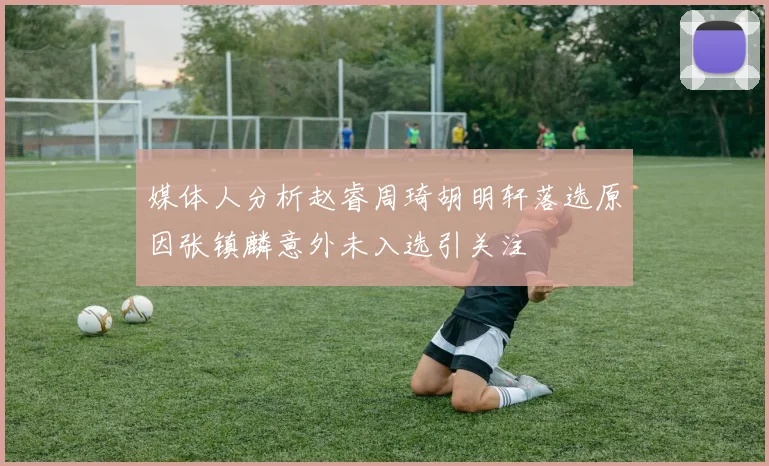 媒体人分析赵睿周琦胡明轩落选原因张镇麟意外未入选引关注